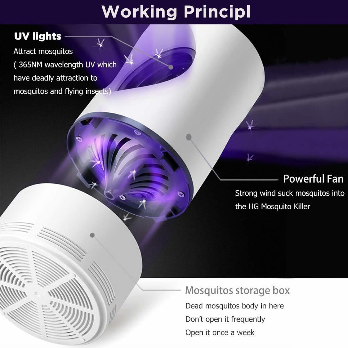 Electronic LED Mosquito Killer Lamp | Eco Friendly Indoor & Outdoor (Suction Trap)