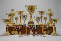 Trophy and Medals